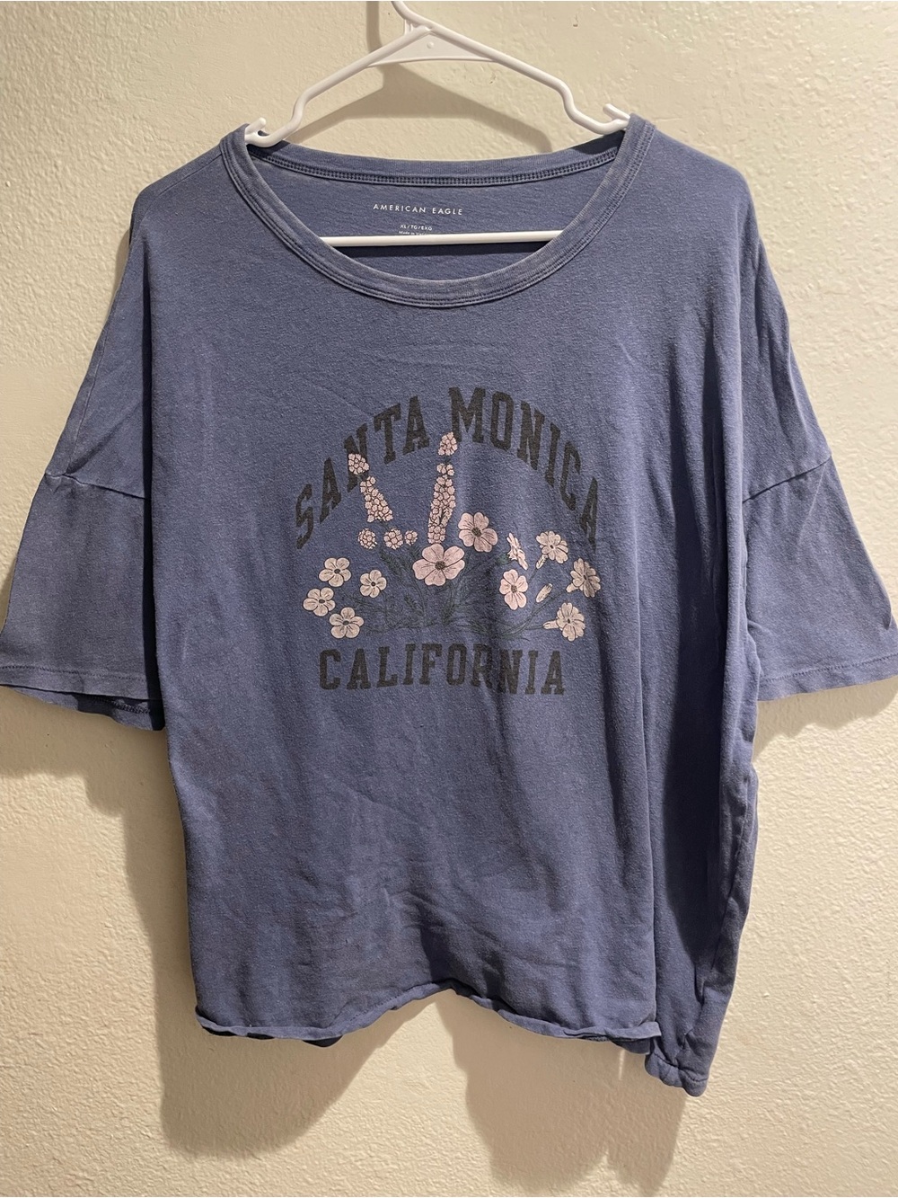 🦅American Eagle Santa Monica Floral Graphic Tee | Dusty Blue 🦅